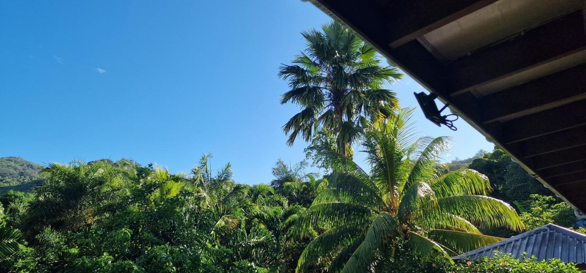 A Peace In Paradise Anse Royale Exterior photo