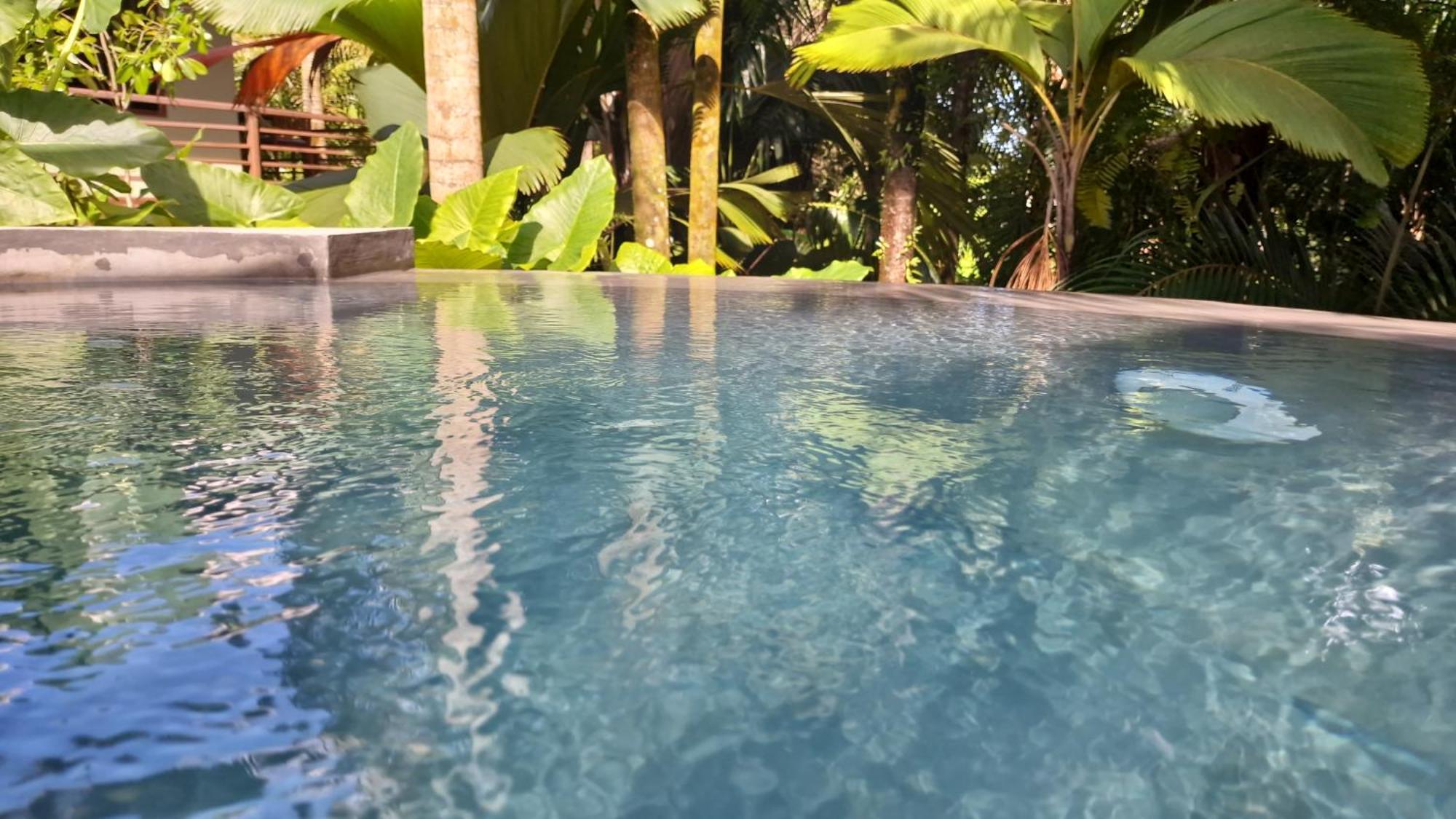 A Peace In Paradise Anse Royale Exterior photo